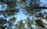 Different angle. Genuine Contact Mentoringcirkel in Raleigh, North Carolina, USA